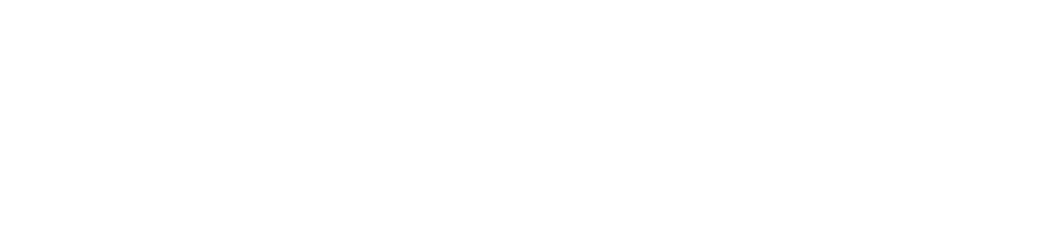 THE VERGE (1)
